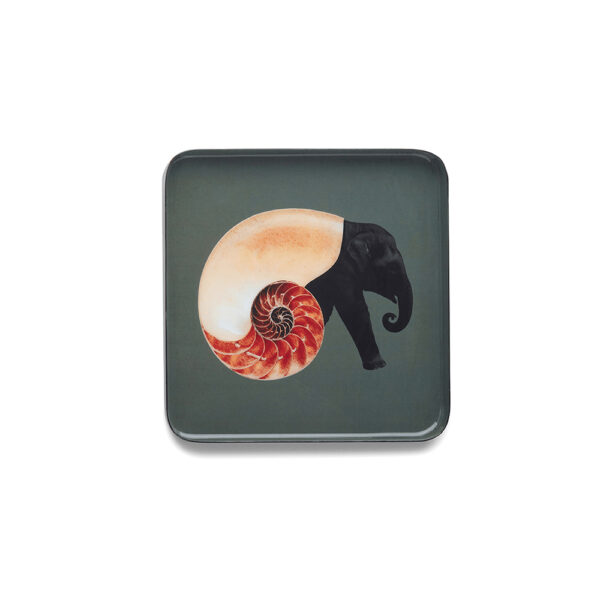 Face Vide-Poche Carré Shellephant (SQUARE TRINKET TRAY) 15X15 CMGangzaï | Gisela Concept Store